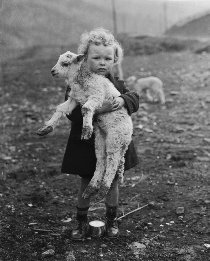 child and lamb