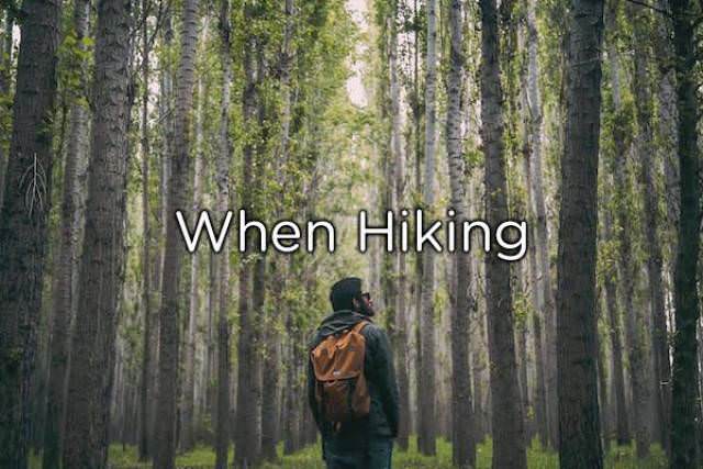 forest man - When Hiking