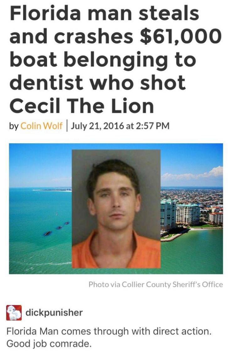 funny florida man memes - Florida man steals and crashes $61,000 boat belonging to dentist who shot Cecil The Lion by Colin Wolf | at Photo via Collier County Sheriff's Office dickpunisher Florida Man comes through with direct action. Good job comrade.