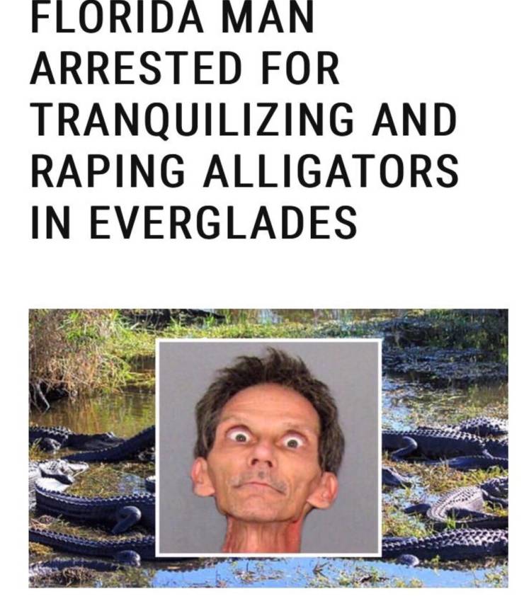 florida man arrested for tranquilizing alligators - Florida Man Arrested For Tranquilizing And Raping Alligators In Everglades