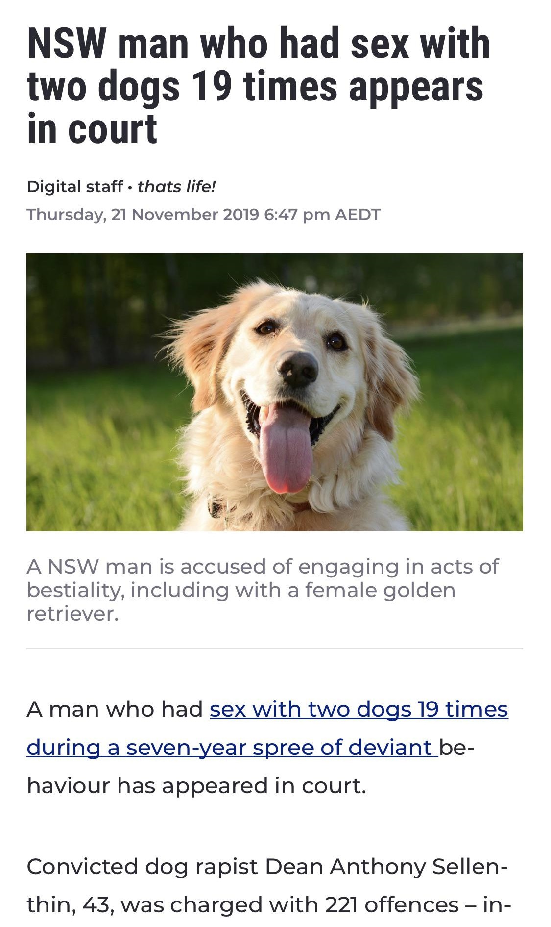 snout - Nsw man who had sex with two dogs 19 times appears in court Digital staff. thats life! Thursday, Aedt A Nsw man is accused of engaging in acts of bestiality, including with a female golden retriever. A man who had sex with two dogs 19 times during