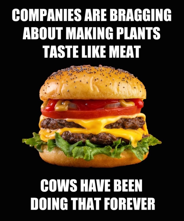 meme - Companies Are Bragging About Making Plants Taste Meat Cows Have Been Doing That Forever