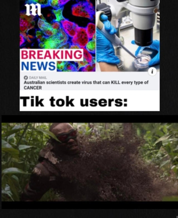 tree - m Breaking News Daily Mail Australian scientists create virus that can Kill every type of Cancer Tik tok users