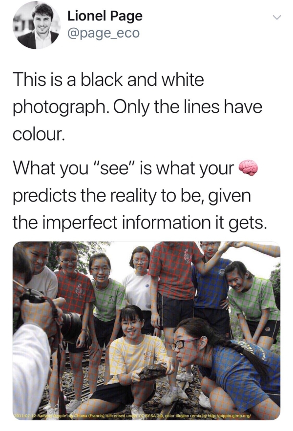 black and white photo with color lines - Lionel Page This is a black and white photograph. Only the lines have colour. What you "see" is what your predicts the reality to be, given the imperfect information it gets. Rail p lechuwa Francis is licensed unde