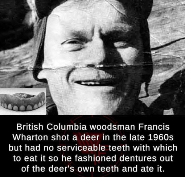 francis wharton - British Columbia woodsman Francis Wharton shot a deer in the late 1960s but had no serviceable teeth with which to eat it so he fashioned dentures out of the deer's own teeth and ate it.