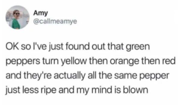diagram - Amy Ok so I've just found out that green peppers turn yellow then orange then red and they're actually all the same pepper just less ripe and my mind is blown