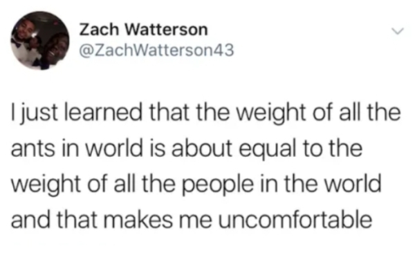 depression serotonin meme - Zach Watterson I just learned that the weight of all the ants in world is about equal to the weight of all the people in the world and that makes me uncomfortable