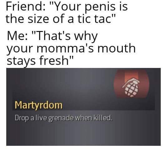 Friend "Your penis is the size of a tic tac" Me "That's why your momma's mouth stays fresh" Martyrdom Drop a live grenade when killed,