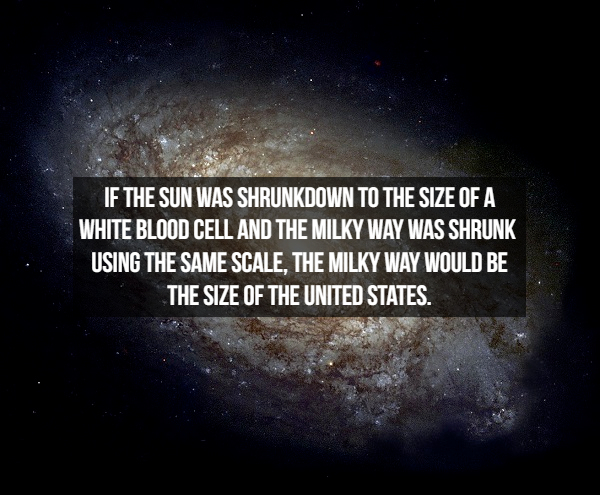 If The Sun Was Shrunkdown To The Size Of A White Blood Cell And The Milky Way Was Shrunk Using The Same Scale, The Milky Way Would Be The Size Of The United States.