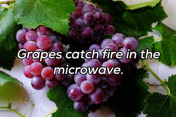 taste for prayer - Grapes catch fire in the microwave.