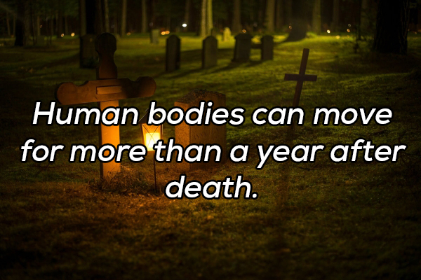 nature - Human bodies can move for more than a year after death.