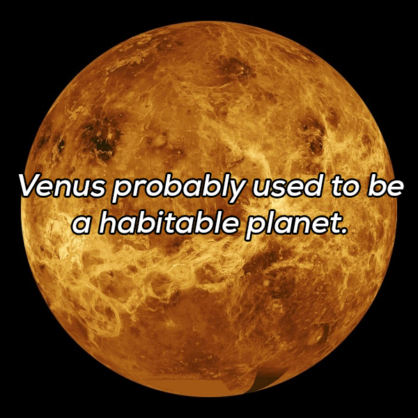 venus planet - Venus probably used to be a habitable planet.