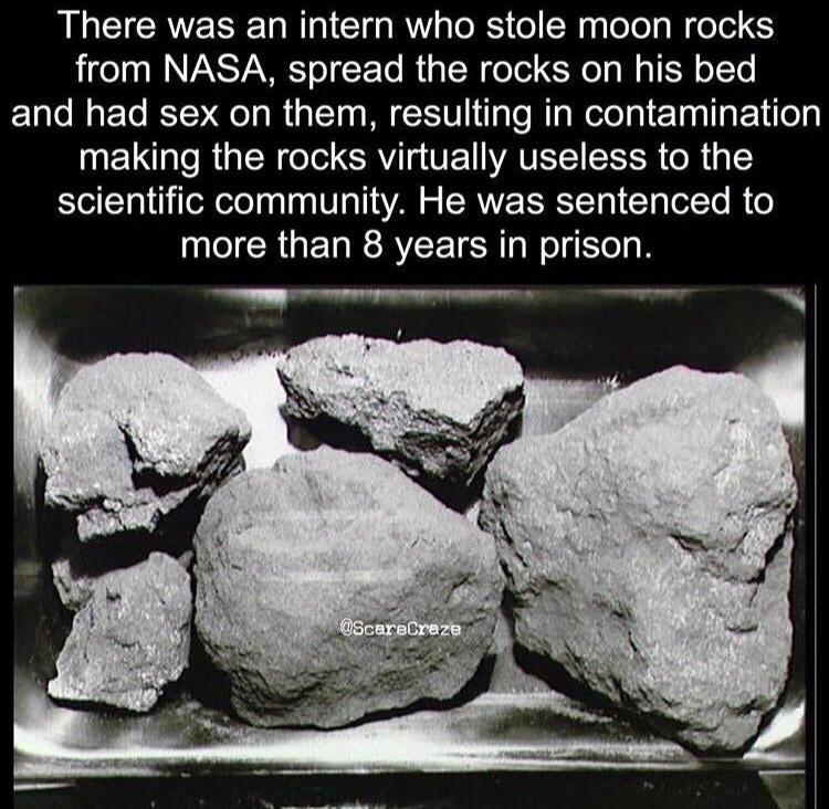 moon rocks apollo 11 - There was an intern who stole moon rocks from Nasa, spread the rocks on his bed and had sex on them, resulting in contamination making the rocks virtually useless to the scientific community. He was sentenced to more than 8 years in