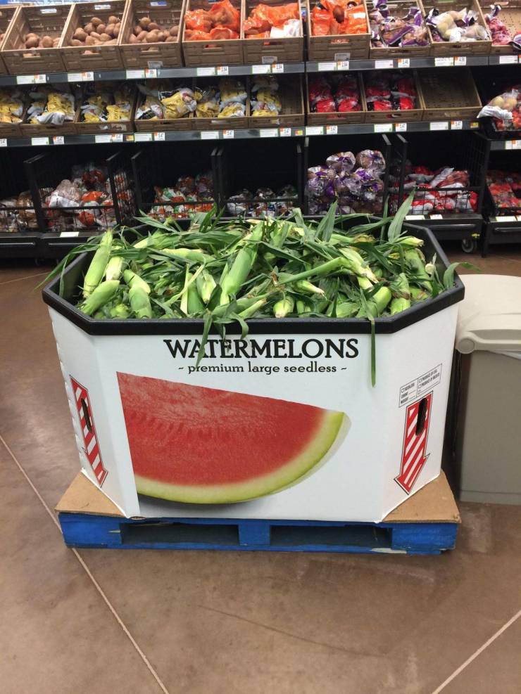 natural foods - Watermelons premium large seedless