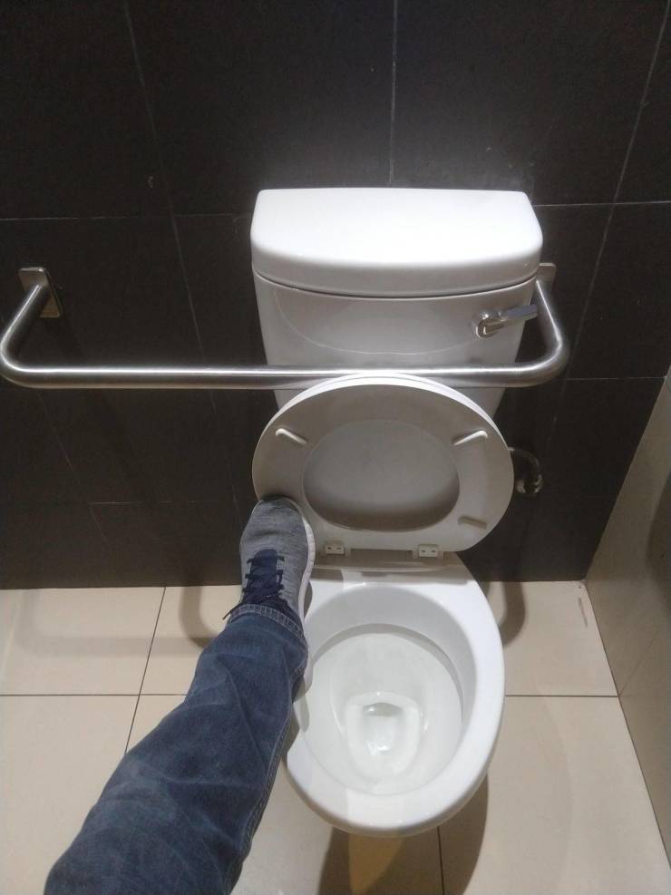 toilet seat