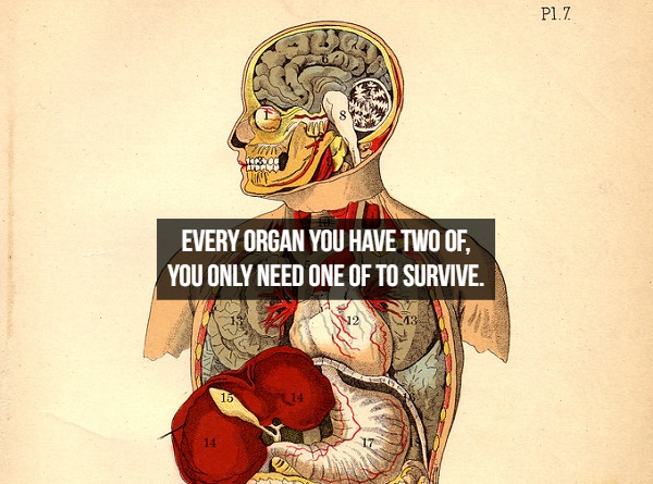 P1.7 Every Organ You Have Two Of, You Only Need One Of To Survive.