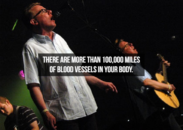 song - There Are More Than 100.000 Miles Of Blood Vessels In Your Body.