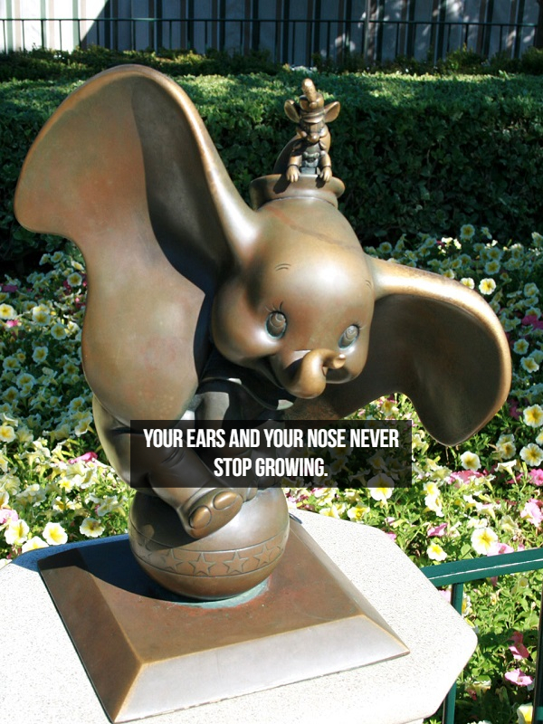 dumbo sculpture metal - Your Ears And Your Nose Never Stop Growing.