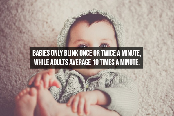 cute boy toddlers - Babies Only Blink Once Or Twice A Minute, While Adults Average 10 Times A Minute.