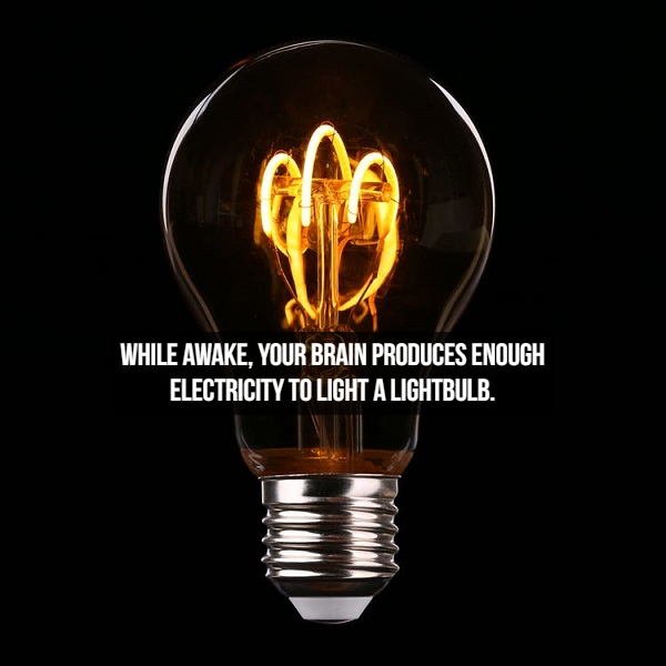 popular electronics - While Awake. Your Brain Produces Enough Electricity To Light A Lightbulb.