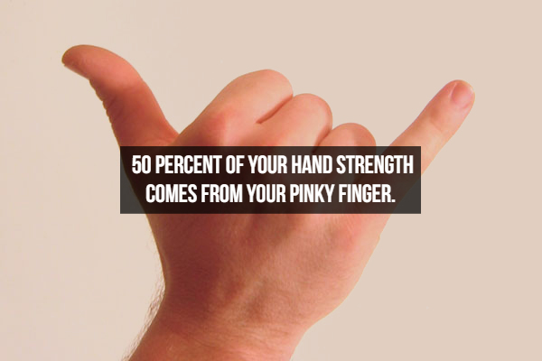 shaka sign - 50 Percent Of Your Hand Strength Comes From Your Pinky Finger.