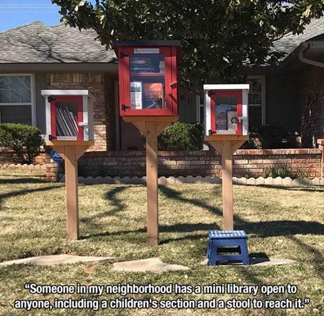 mini open library - "Someone in my neighborhood has a mini library open to anyone, including a children's section and a stool to reach it."