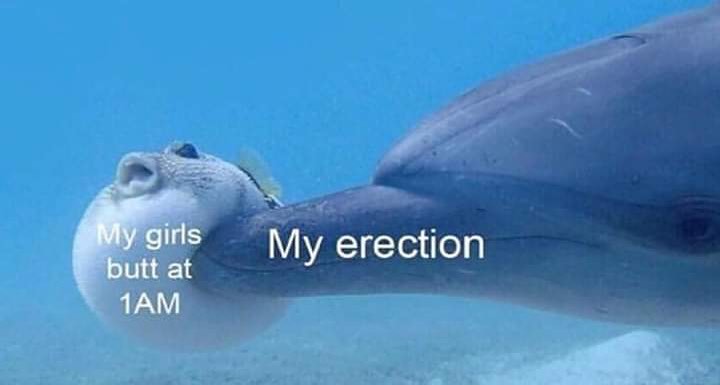 marine biology - My erection My girls butt at 1AM