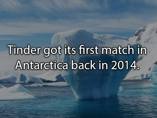 iceberg - Tinder got its first match in Antarctica back in 2014.