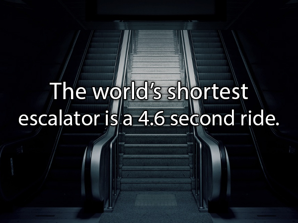 light - The world's shortest escalator is a 4.6 second ride.