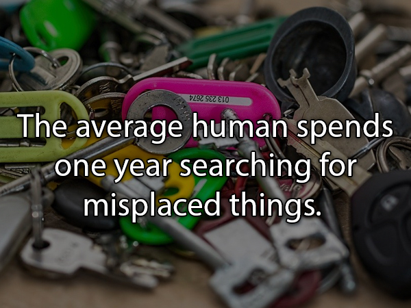 key - VZ9Z Sez Elo The average human spends sone year searching for misplaced things.