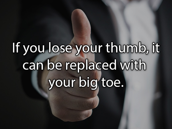 human behavior - If you lose your thumb, it can be replaced with your big toe.