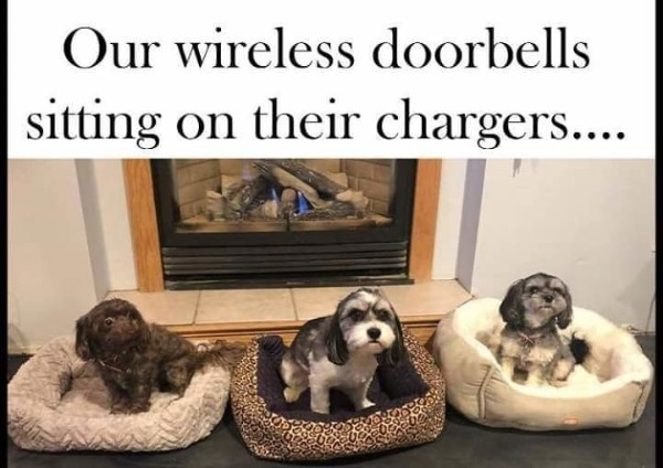 wireless doorbells sitting on their chargers - Our wireless doorbells sitting on their chargers....