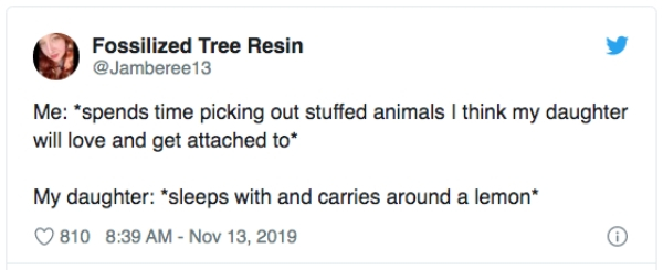 document - Fossilized Tree Resin Me spends time picking out stuffed animals I think my daughter will love and get attached to My daughter sleeps with and carries around a lemon 810