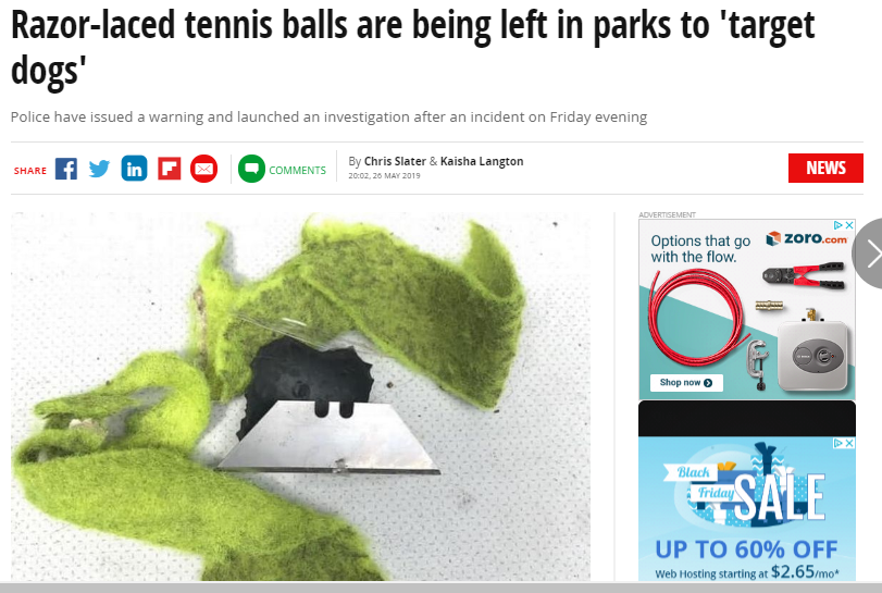 razor laced tennis balls - Razorlaced tennis balls are being left in parks to 'target dogs' Police have issued a warning and launched an investigation after an incident on Friday evening hy in P O By Chris Slater & Kaisha Langton News zoro.com Options tha
