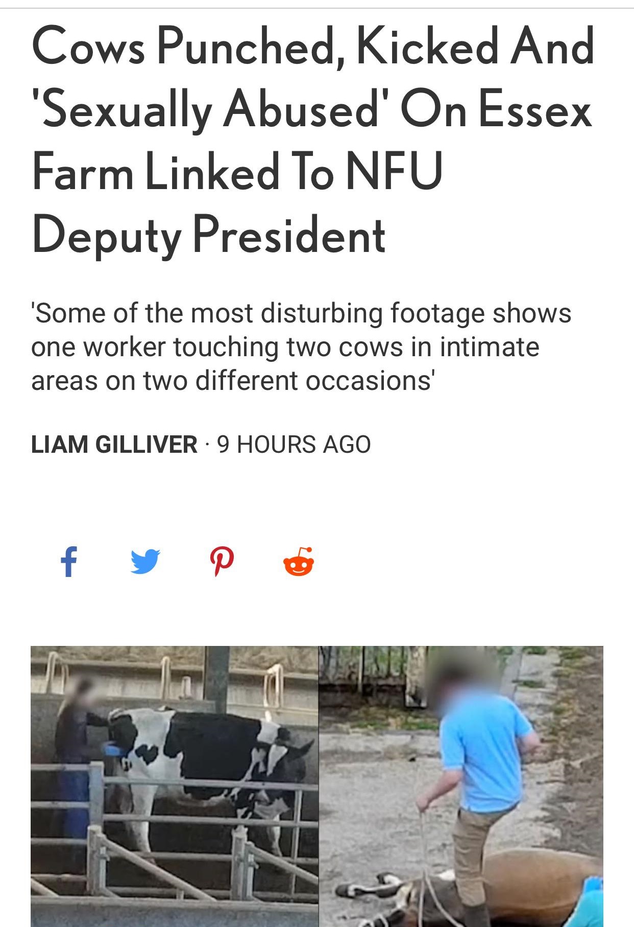 four points by sheraton - Cows Punched, Kicked And 'Sexually Abused' On Essex Farm Linked To Nfu Deputy President 'Some of the most disturbing footage shows one worker touching two cows in intimate areas on two different occasions' Liam Gilliver 9 Hours A