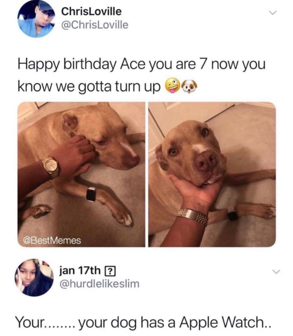 dog with apple watch - ChrisLoville Happy birthday Ace you are 7 now you know we gotta turn up 929 Memes jan 17th 2 Your........ your dog has a Apple Watch..