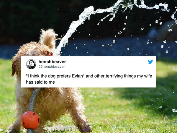 we waste water - henchbeaver "I think the dog prefers Evian" and other terrifying things my wife has said to me