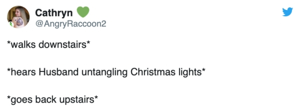 ruth reichl - Cathryn Raccoon2 walks downstairs hears Husband untangling Christmas lights goes back upstairs
