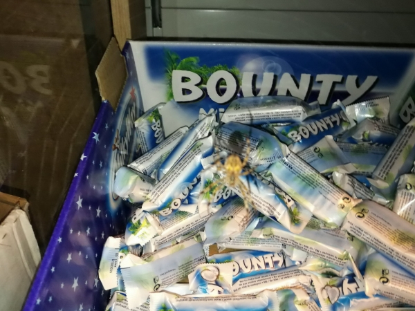 Bounty Bounty Bunts
