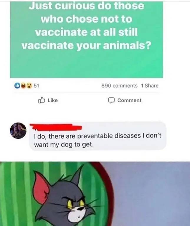 life is going too good meme - Just curious do those who chose not to vaccinate at all still vaccinate your animals? 0 % 51 890 1 0 Comment I do, there are preventable diseases I don't want my dog to get.
