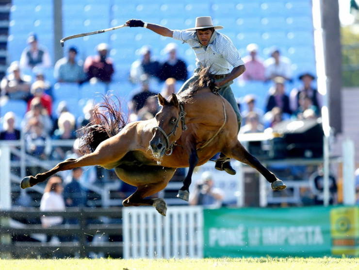 gaucho uruguay