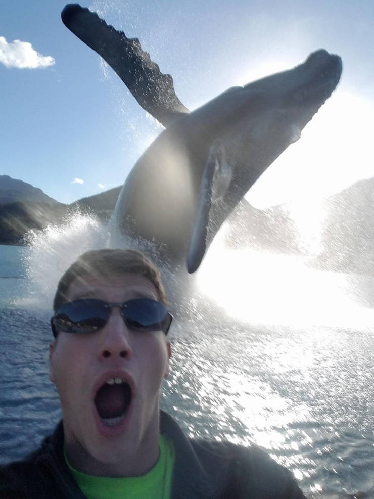 whale selfie