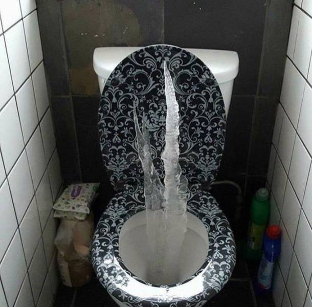 cursed toilets