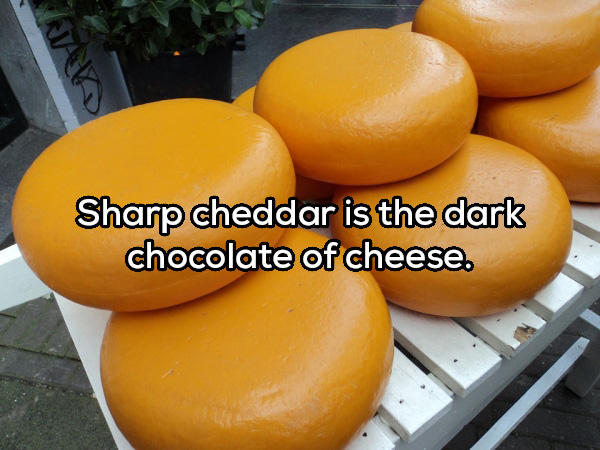 Sharp cheddar is the dark chocolate of cheese.