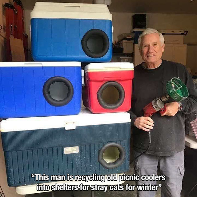 stray cat coolers - This man is recycling old picnic coolers into shelters for stray cats for winter