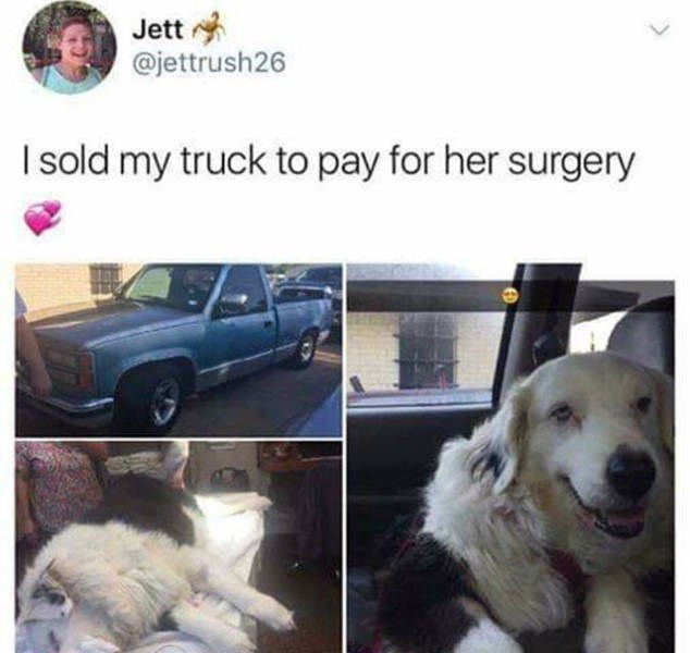 sold my truck to pay for her surgery - Jetta I sold my truck to pay for her surgery