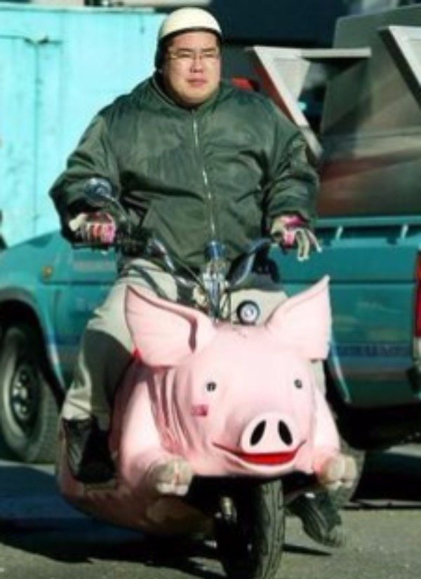 pig motorcycle