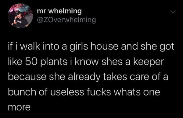 atmosphere - mr whelming if i walk into a girls house and she got 50 plants i know shes a keeper because she already takes care of a bunch of useless fucks whats one more