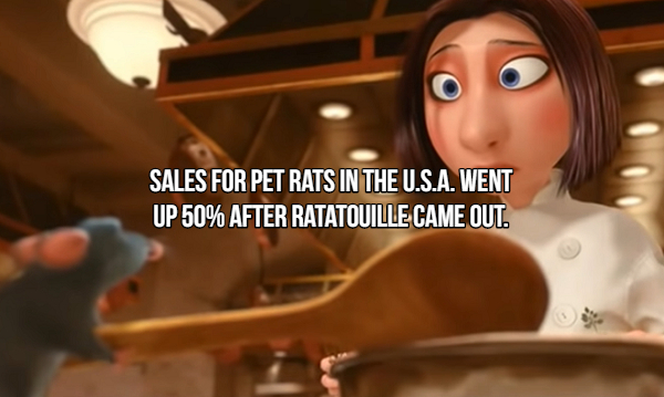 right to play - Sales For Pet Rats In The U.S.A. Went Up 50% After Ratatouille Came Out.