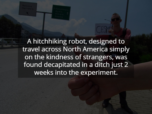 photo caption - A hitchhiking robot, designed to travel across North America simply on the kindness of strangers, was found decapitated in a ditch just 2 weeks into the experiment.